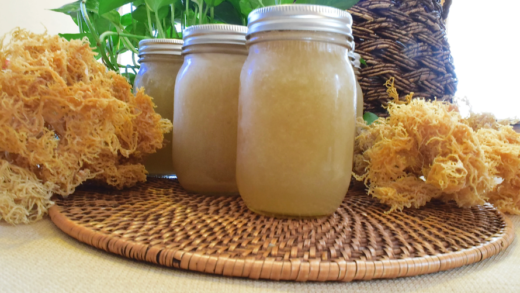 Sea moss benefits for hair