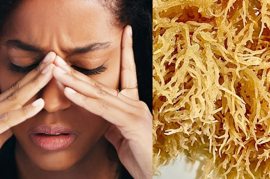 Sea moss benefits for hair